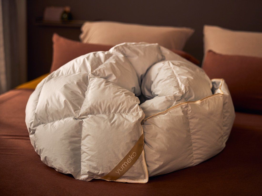 Dyne edderdun forår/efterår